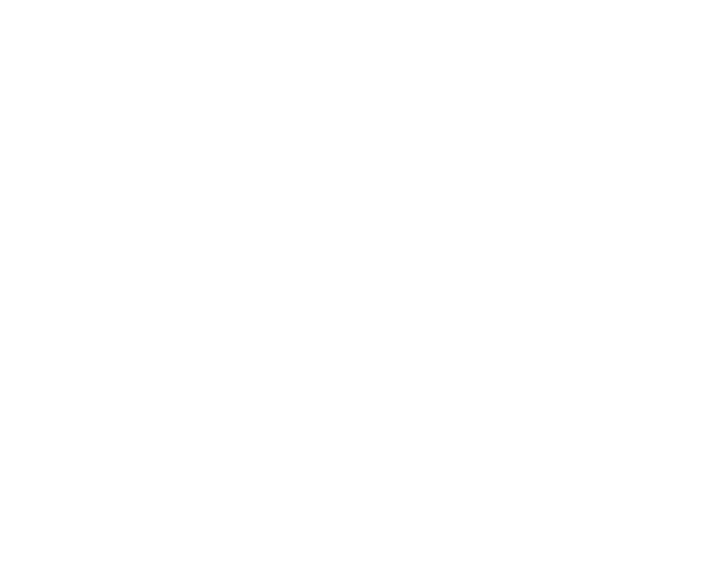 Vita Dental
